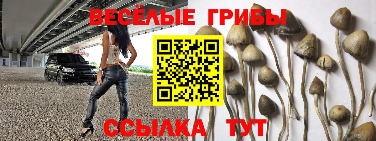 Ухта  Галлюциногенные грибы прущие грибы  Вход с VPN 